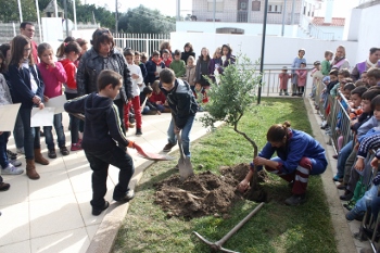 Semana Floresta